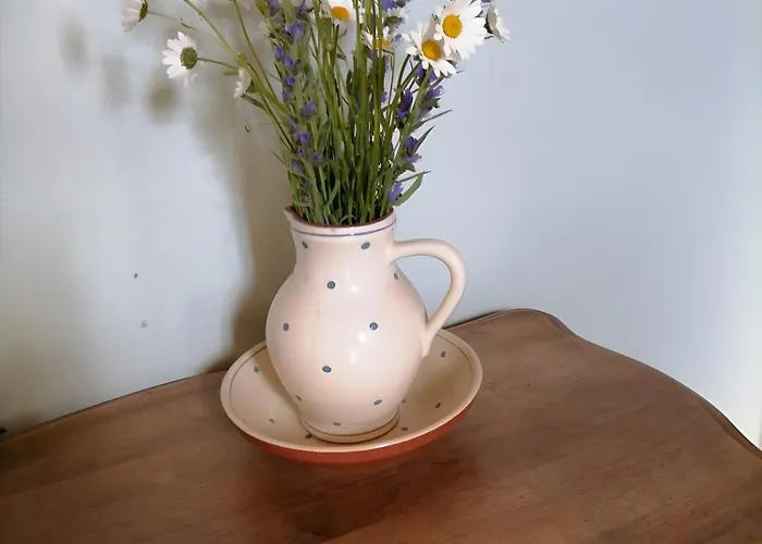 Au Cœur De La Nature *