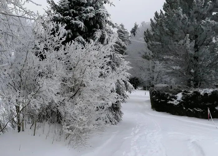 Hébergement de vacances Au Cœur De La Nature Le Chambon-sur-Lignon